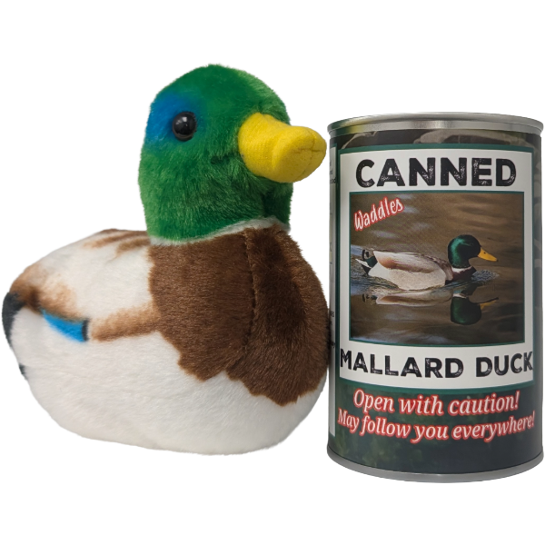 Waddles the Canned Mallard Duck - Gift w/ Sound: Foil Lid