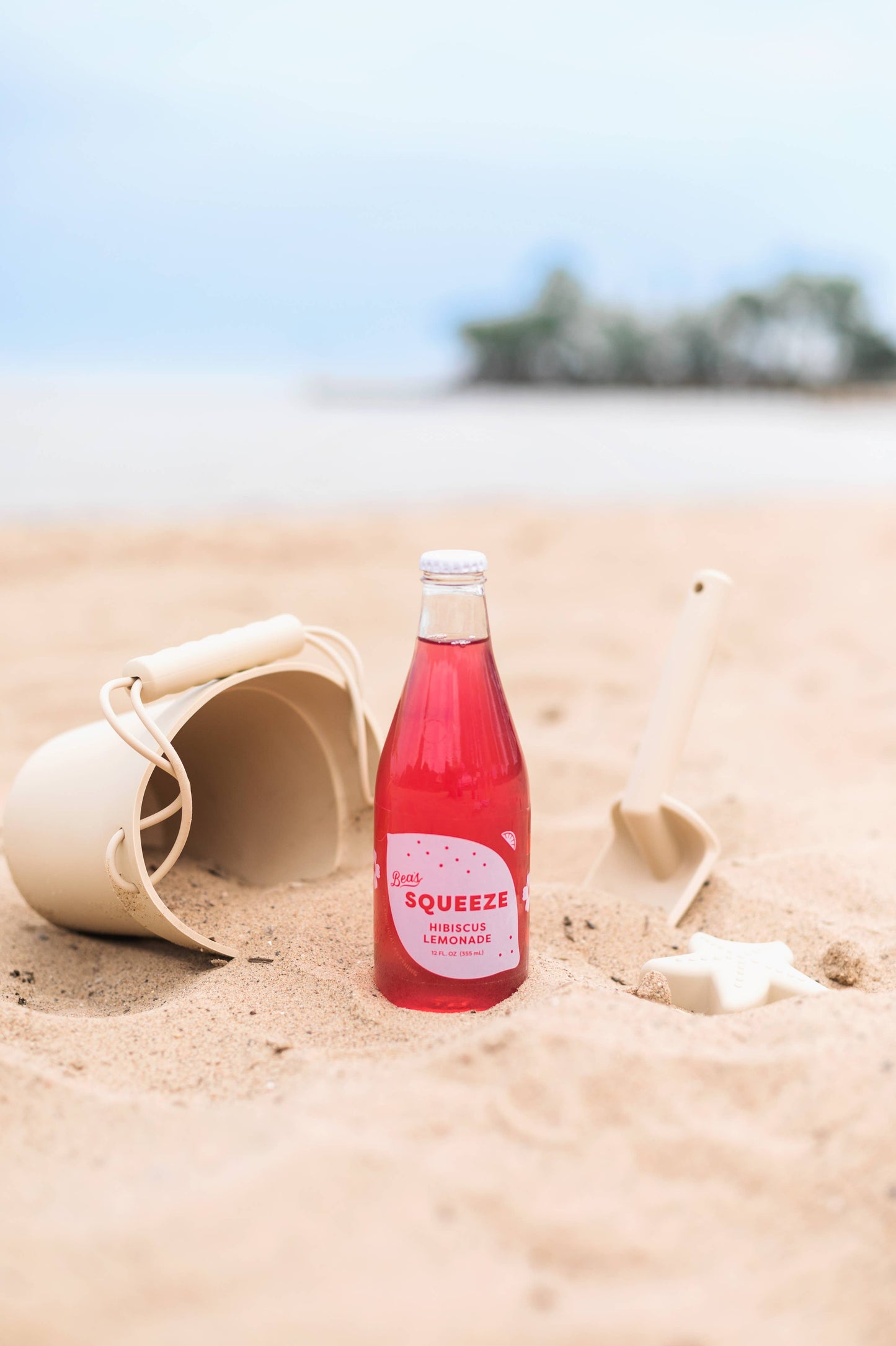 Hibiscus Lemonade
