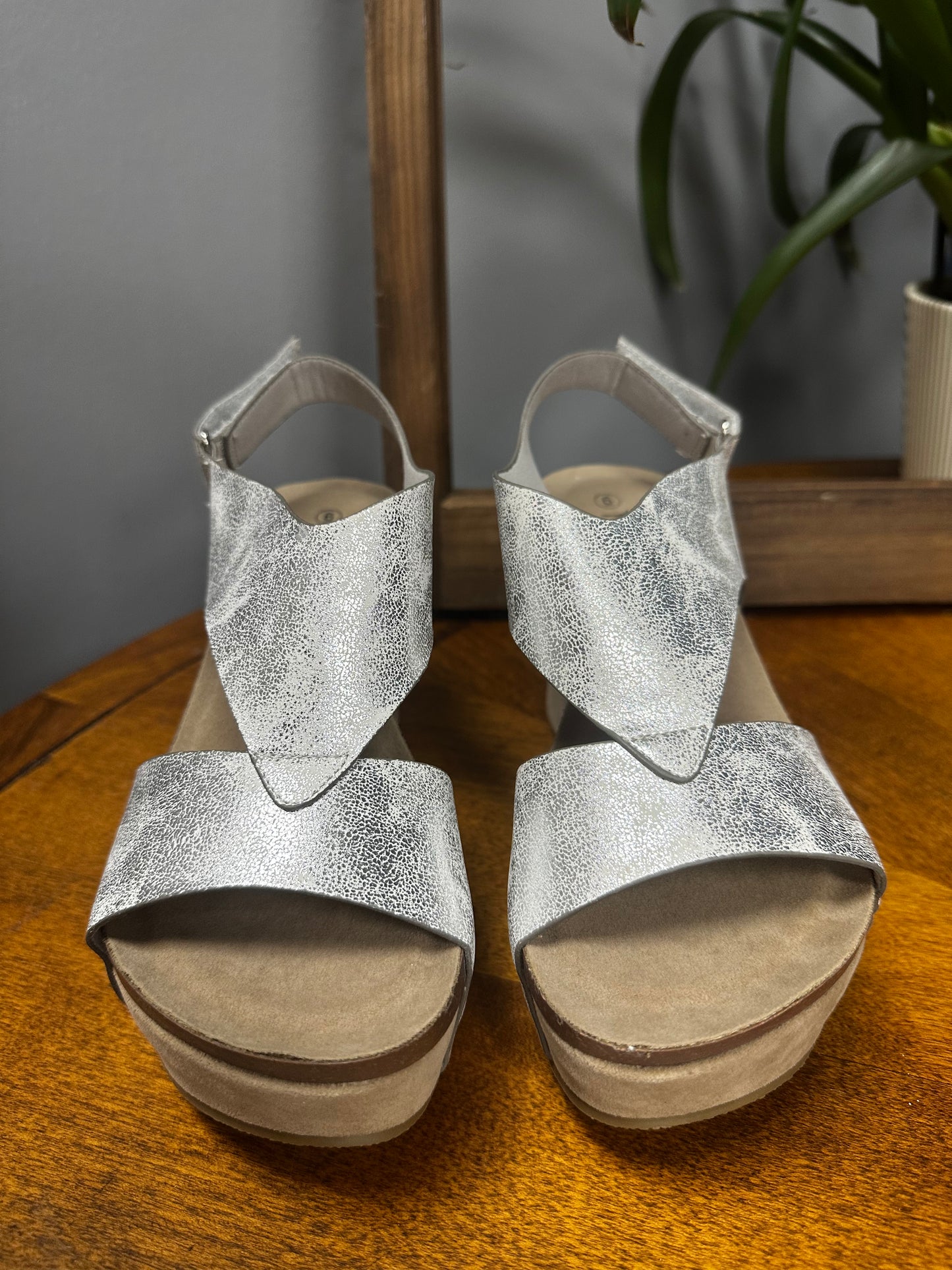 Truce Silver Wedge Sandal