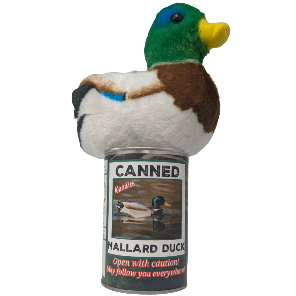 Waddles the Canned Mallard Duck -  Gift w/ Sound: Foil Lid