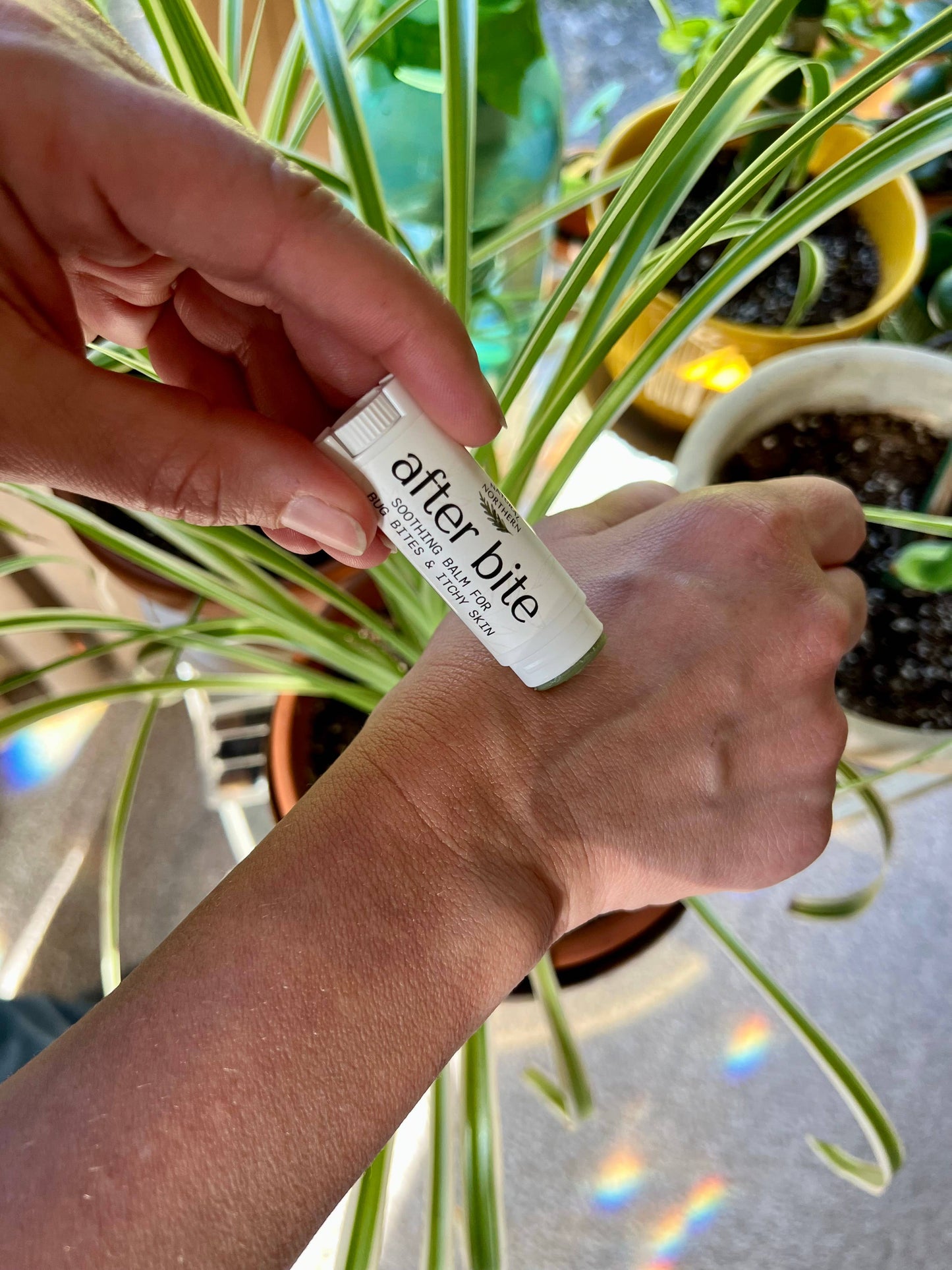 After Bite Balm Stick | Soothing Herbal Relief for Bug Bites