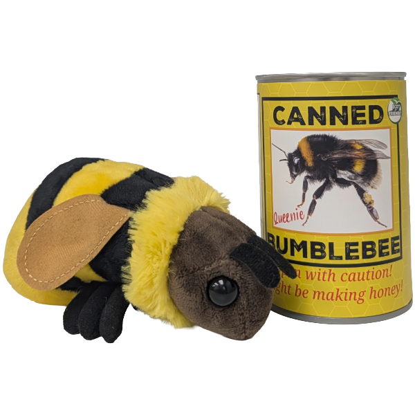 Queenie the Canned Bumblebee - Eco-Friendly Recycled Plush: Foil Lid