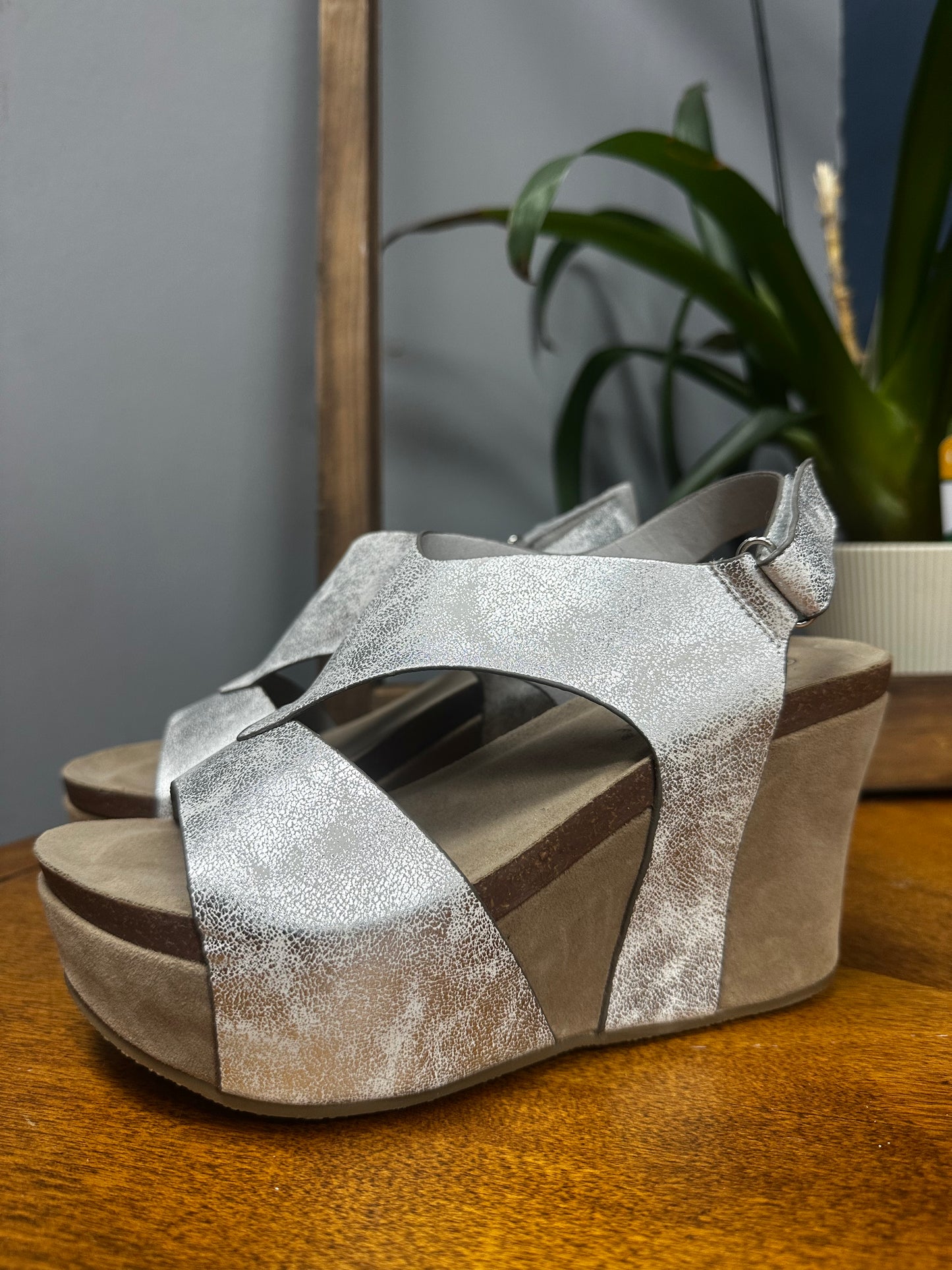Truce Silver Wedge Sandal