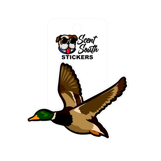 Mallard Sticker