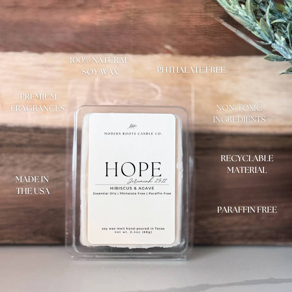 Hope | Hibiscus & Agave | 2.4 oz. Soy Wax Melt