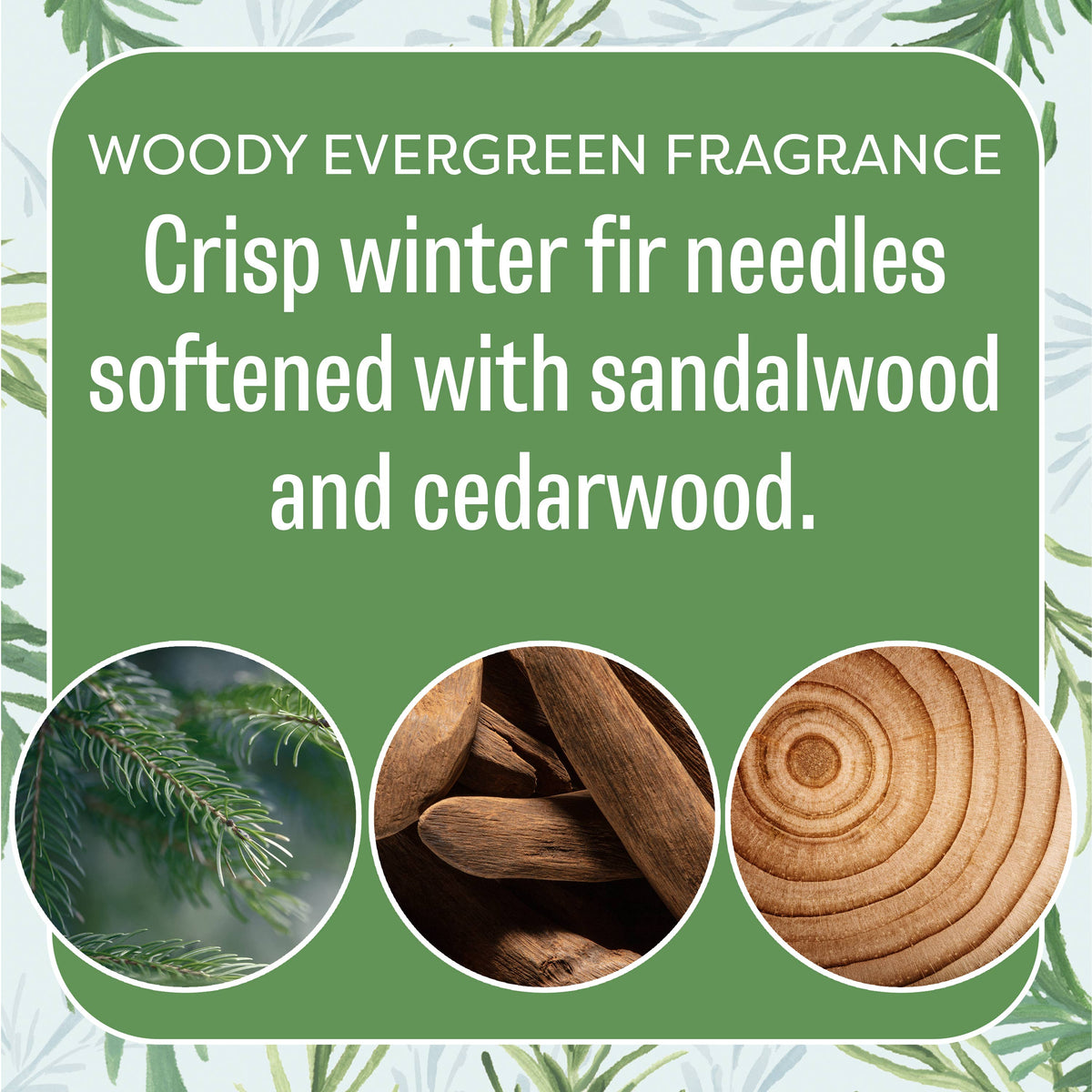 Fresh Scents | Balsam Fir Sachets | Holiday, Christmas Scent